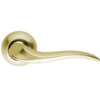 Armadillo �ndromeda